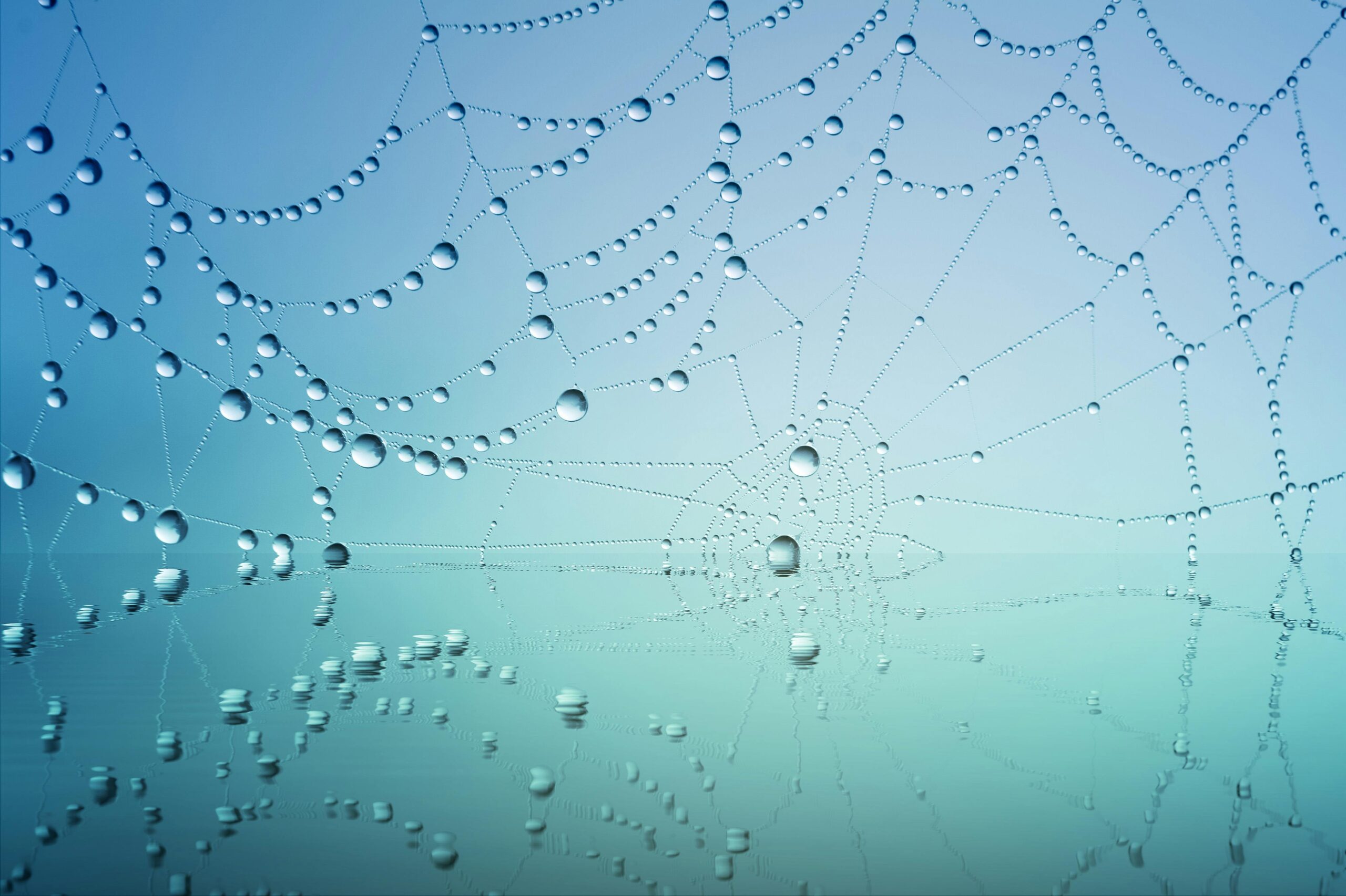 Case Study #2: Enhancing Digital Presence with Web Support and Branding